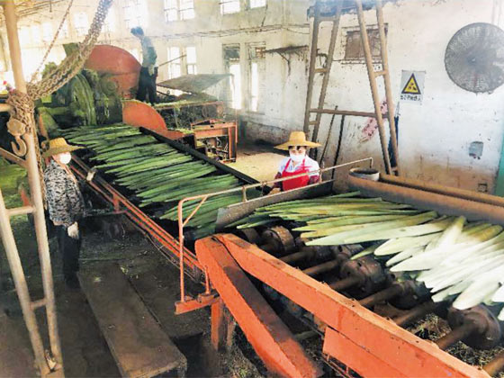 Squeegee production line
